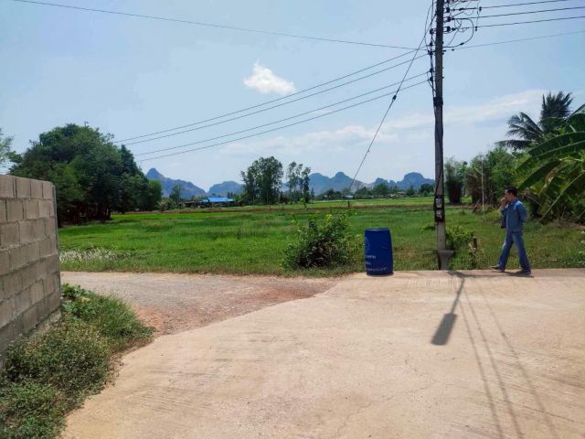 ที่ดิน ดอนทราย จ.ราชบุรี