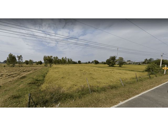 L521 ขายที่ดินใกล้ถนนโชคชัย-เดชอุดม 4 ไร่ ใกล้โรงพยาบาลขุขันธ์ ศรีสะเกษ