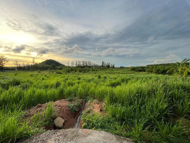 #ขายที่ดินเมืองชล ชลบุรี ขนาดที่ดิน 100 ไร่ /2แปลง มีเอกสาร รง. ติดนิคมอีสเทิร์นซีบอร์ด ระยอง สีม่วง ติดถนน  ไฟฟ้า 3เฟส