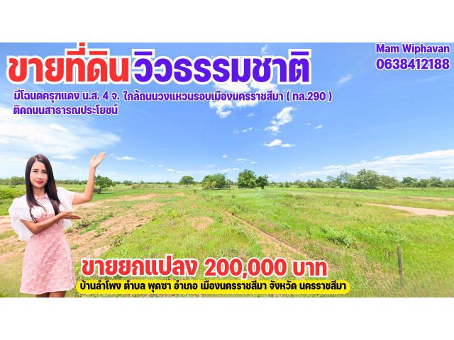 ขายที่ดินปลูกข้าวทำนา เมืองนครราชสีมา ใกล้ถนนวงแหวนรอบเมืองนครราชสีมา