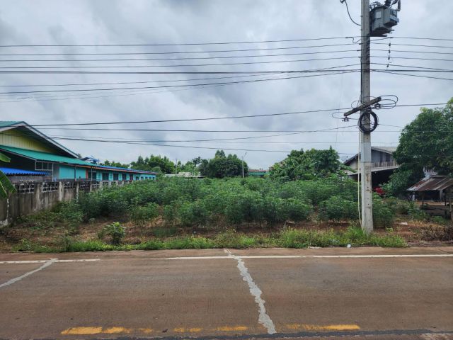 L539 ขายที่ดินใกล้นิคมฯโรจนะ 326 ตรว ศรีมหาโพธิ ปราจีนบุรี