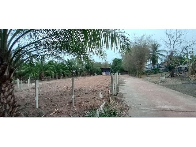 ที่ดินบ้านโพธิ์ ทางลงหนองนำ้สาธารณะ