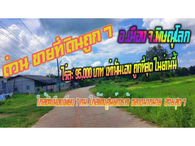 เคยเห็นไหมไร่ละ9.5หมื่นบาทเอง ที่ดิน 14 ไร่ติดถนนคอนกรีต หลังหมู่บ้านปาริสรณ์