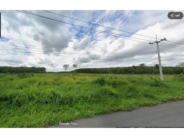 ขายที่ดินแปลงสวย 50 ไร่ ต.หนองเสือช้าง อ.หนองใหญ่ จ.ชลบุรี ติดถนนใหญ่ 4 เลนเส้น 3245 (ชลบุรี-หนองใหญ่-ระยอง)