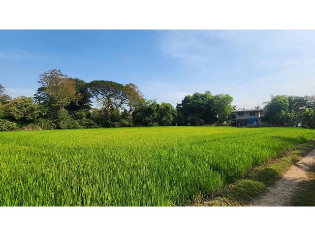 ให้เช่าที่ดิน ที่ดินติดถนนใหญ่ คลองสิบ-คลองสิบสี่