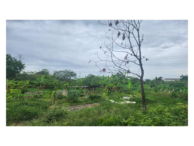 ขายที่ดินถูกๆ ลาดหลุมแก้ว เนื้อที่ 4 ไร่ ต.ระแหง อ.ลาดหลุมแก้ว  ปทุมธานี