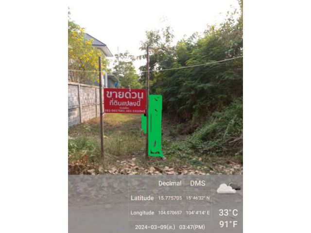 ที่ดินเปล่าหลังตลาดยูเทริน์
