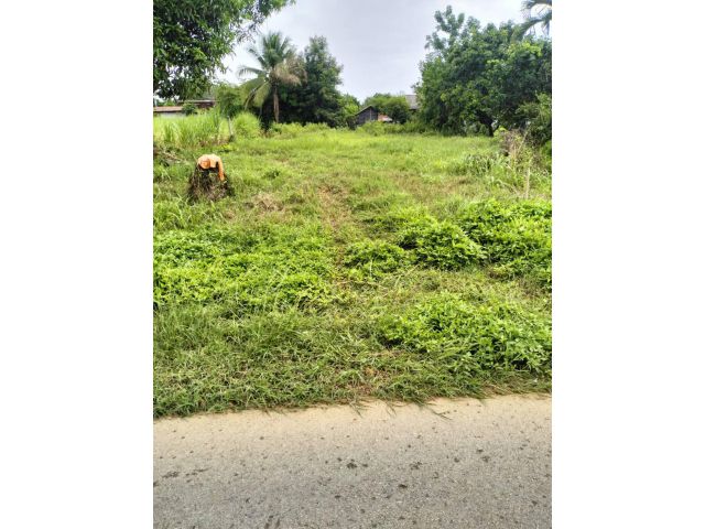 ชายที่ดินถนนสี่เลน เลยเชียงคาน ทำเลดี ค้าขายได้ 133 ตรว 770000