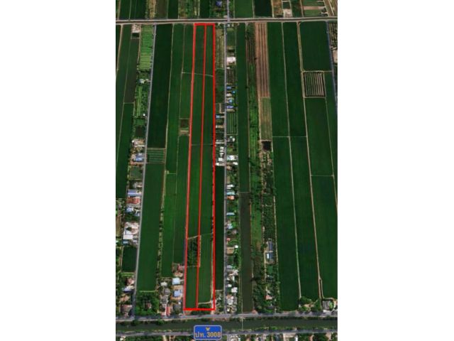 ขายที่ดิน 59 ไร่ 2 งาน 27.2 ตารางวา ตำบลบึงบอน อำเภอหนองเสือ จังหวัดปทุมธานี