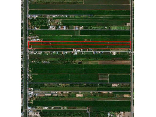 ขายที่ดิน 59 ไร่ 2 งาน 27.2 ตารางวา ตำบลบึงบอน อำเภอหนองเสือ จังหวัดปทุมธานี
