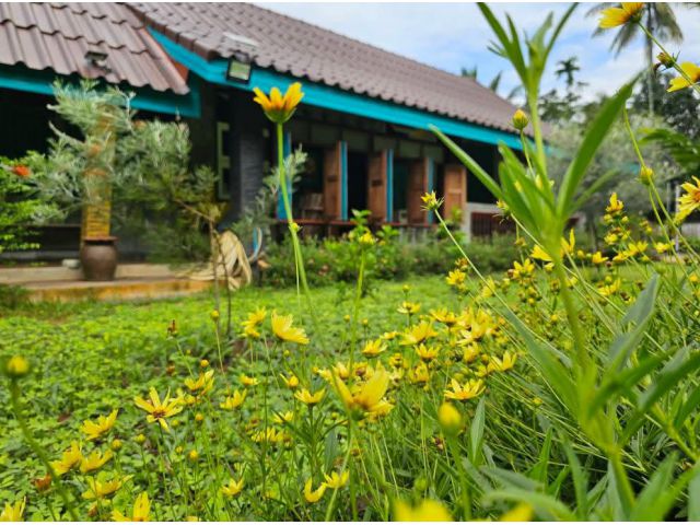 ขายบ้านสวนใหม่พร้อมที่ดิน3ไร่ ด่วน