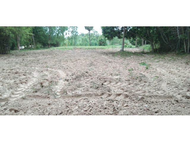 ต้องการขายที่ดินว่างป่าว โฉนดครุฑแดง 2ไร่ 3งาน 33ตารางวา