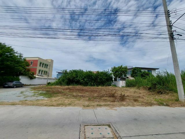 ขายที่ดิน แปลงสวย ทำเลดี ใกล้ถนนข้าวหลาม 20 เมตร ราคา 6.5 ล้านบาท เนื้อที่ 81.9 ตรว.