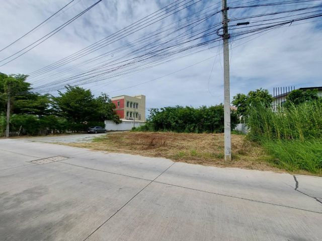 ขายที่ดิน แปลงสวย ทำเลดี ใกล้ถนนข้าวหลาม 20 เมตร ราคา 6.5 ล้านบาท เนื้อที่ 81.9 ตรว.