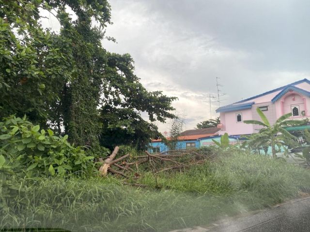 ขายวาละ 45,000 ที่ดิน ถนนเพชรเกษม ใกล้รถไฟฟ้า เดอะมอลล์บางแค