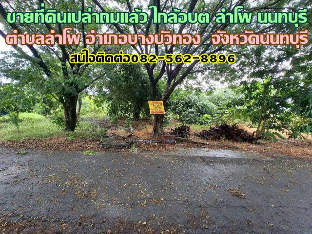 ขายที่ดินเปล่าถมแล้ว ใกล้อบต ลำโพ นนทบุรี ซอยตรงข้ามที่ทำการผู้ใหญ่บ้าน