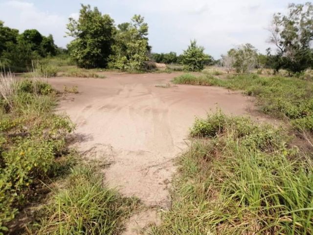 L559 ขายที่ดิน 65 ไร่ ใกล้ตัวเมืองอยุธยา