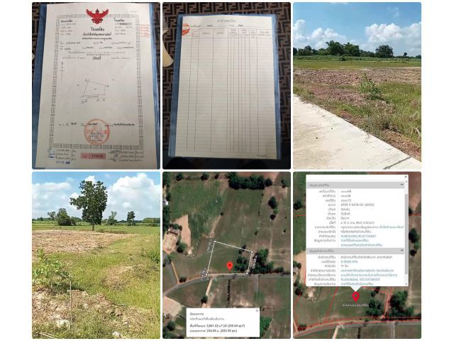 ที่ดิน 2ไร่ 2งาน 86 ตารางวา จ.ชัยนาท ติดถนนคอนกรีต