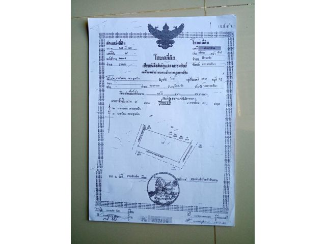 ขายที่โฉนด19ไร่ๆละ250,000บาท ต.ภูหลวง อ.ปักธงชัย ห่างถนน304เพียง300เมตรติดคลองลำเชียงสา