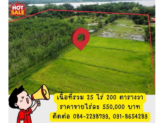 ขายที่ดินด่วน ขายรวม 2 เจ้าของ 25 ไร่ 200 ตารางวา โฉนดปลอดภาระ พร้อมโอนทันที สนใจราคาต่อรองได้ เจ้าของขายเอง