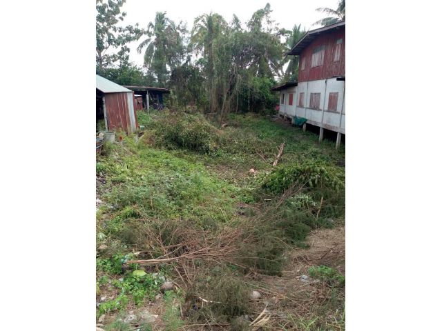 L568 ขายที่ดินติดถนน.4037  70 ตรว ดำเนินสะดวก ราชบุรี