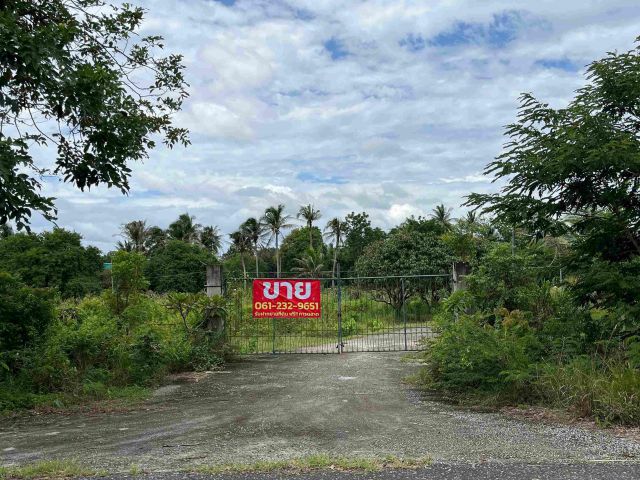 ขายที่ดิน สามร้อยยอด ประจวบคีรีขันธ์ พร้อมบ้านชั้นเดียว ติดถนนทุ่งเคล็ด-บางหนองไทร