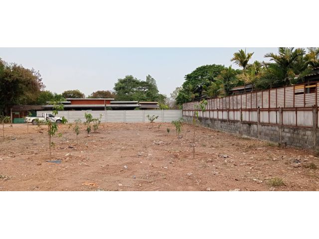 ขายที่ดิน 216 ตรว.หน้าโรงเรียนเทพศิรินทร์