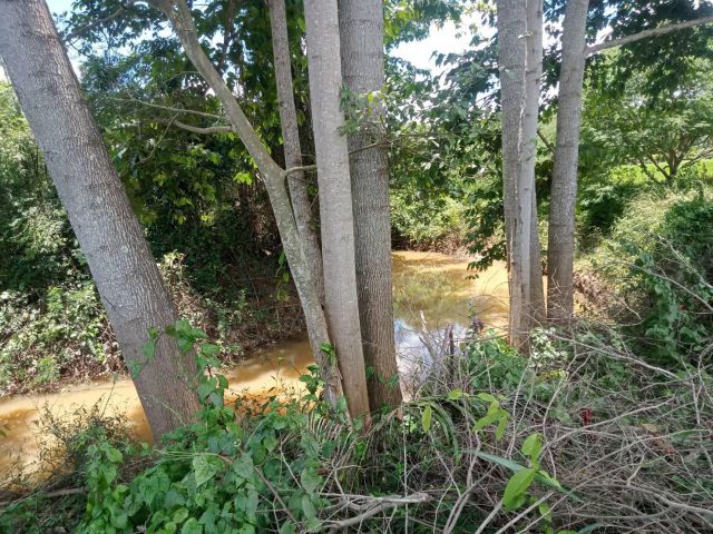 ที่ดินโฉนดใกล้ถนนลาดยางอ.ภูเรือ 14 ไร่ราคาหลุดเพียงไร่ละ 190000 แถมแก้วมังกร 1000 ต้น สนใจทัก 081-2610807