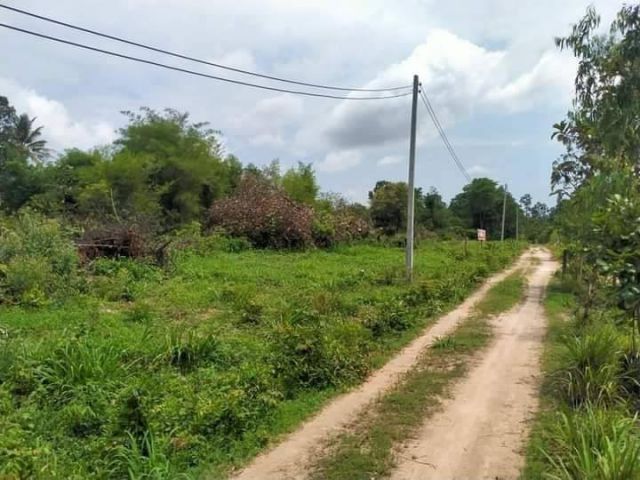 L583 ขายที่ดิน 115 ตรว เมืองอำนาจเจริญ