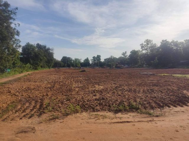 L584 ขายที่ดินทำเลดี 41 ไร่ หน้ากว้าง 75 เมตร ป่าติ้ว ยโสธร