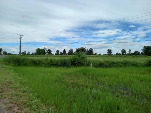 L587 ขายที่นา 10 ไร่ หน้ากว้าง 288 เมตร ใกล้ตัวอำเภอเลิงนกทา ยโสธร