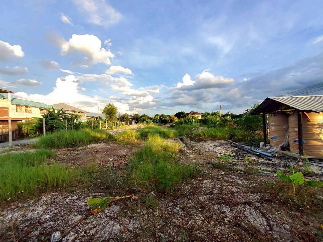 ขายถูกที่ดินซอยสุเหร่าปากคลองลำรี 362 ตรว ติดถนนคอนกรีตสาธารณะ  ถมแล้ว อ.บางบัวทอง จ.นนทบุรี