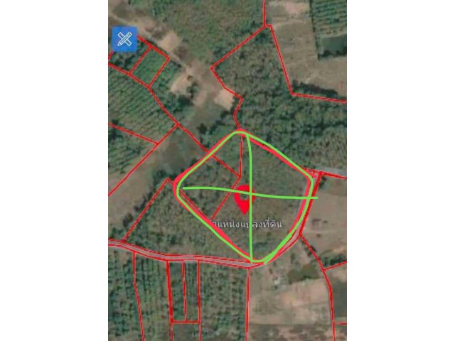 ขายสวนยางพารา