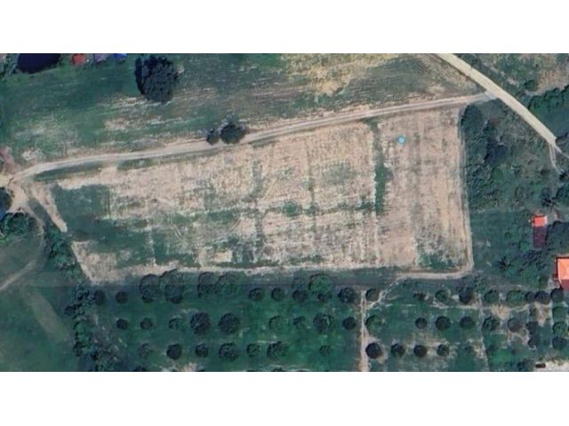 ขายที่ดินเปล่า พญาเย็น ปากช่อง นครราชสีมา 9 ไร่ วิวเขา /ธรรมชาติ ราคาต่อรองได้