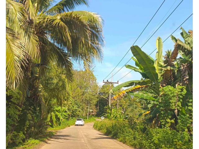 ขายที่ดิน 17 ไร่ ติดถนนสองด้าน ถนน 4043 ต.เขาทอง อ. เมือง จ.กระบี่