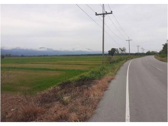 L614 ขายที่ดินเปล่า 1,625-1-22 ไร่ ต.สถาน อ.เชียงของ จ.เชียงราย