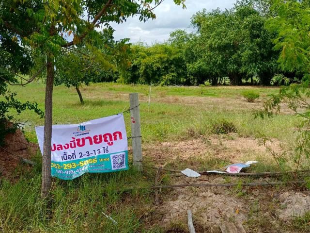 ขายด่วน ที่ดินเปล่า ติดถนนเส้นหลัก 3442 ห้วยกระเจา เนื้อที่ 2 ไร่ 313 ตร.ว. เดินทางสะดวก ไม่ไกลจากกรุงเทพ เดินทางเข้าเมื