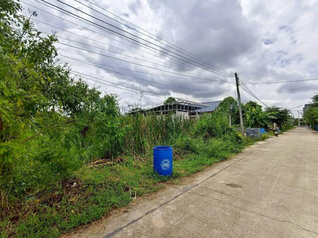 ขายด่วนที่ดินเมืองปทุมธานี 100 ตรว ติดถนนคอนกรีตสาธารณะ ซ.เจริญสุข เมืองปทุมธานี