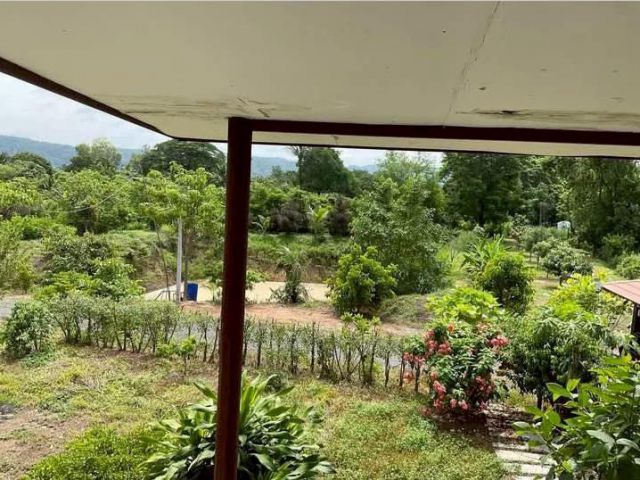 ขายที่ดิน 8 ไร่เศษ ในซอยใกล้รพ.วิหารแดง สระบุรี