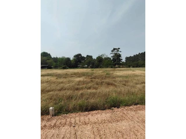 L616 ขายที่ดินใกล้ตลาดสดพนมสารคาม ฉะเชิงเทรา