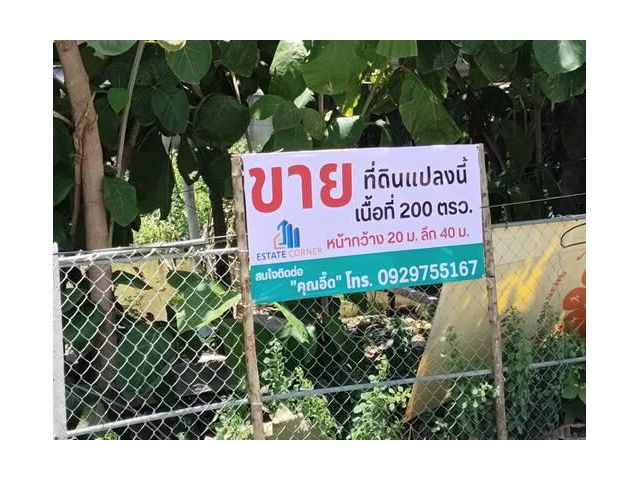 ขายที่ดิน 200 ตรว. ถนนรังสิต-บางพูน ตรงข้าม ตลาดพูนทรัพย์ ซอยบ้านกลาง