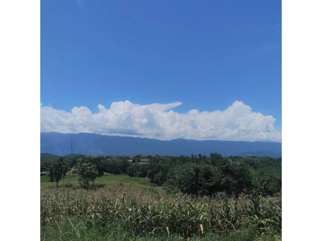 ด่วนที่สุด ขายที่ดินท่องเที่ยวเชิงเกษตร จำนวน 1,061-2-59 ไร่