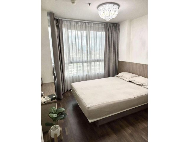 ให้เช่า คอนโด U Delight Ratchavibha (ยู ดีไลท์ รัชวิภา) 1 ห้องนอน 30.5 ตร.ม. ชั้น18 วิวสระ แขวงลาดยาว เขตจตุจักร กรุงเทพ