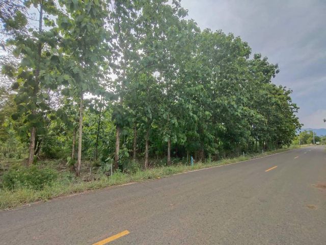 L627 ขายที่ดินวิวภูเขา 4 ไร่ เมืองเพชรบูรณ์