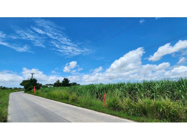 ที่ดินพานทองหนองหงษ์ เนื้อที่ 4ไร่ 3งาน ไร่ละ 4.4ล้าน ต.หนองหงษ์ อ.พานทอง จ.ชลบุรี ที่ดินติดถนนสาธารณะสองด้านสวย