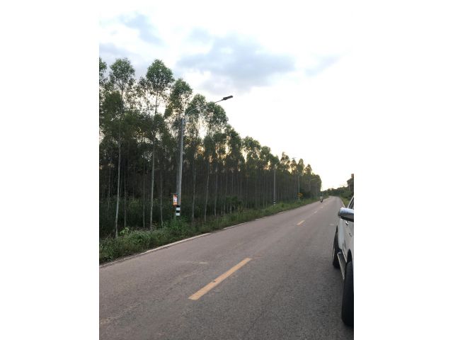 ขายที่ดินหนองกี่เนื้อที่ 4 ไร่ ติดถนนเส้น3050 ใกล้ถนนกบินทร์บุรี304-5กม. จ.ปราจีนบุรี