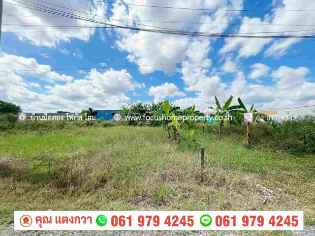 ขาย ที่ดินเปล่า 174 ตารางวา ซอยหล่อพระ บางบัวทอง