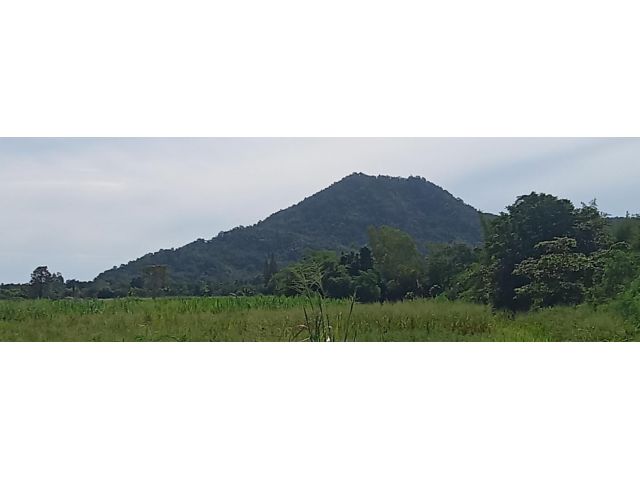ขายที่ดินโฉนด 37 ไร่ 14 ตรว.ทําเลดี ติดถนนบายพาสช่วงระหว่างชะอําหัวหิน
