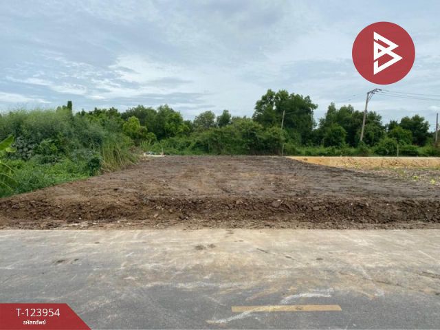 ขายที่ดิน เนื้อที่ 1 งาน 27.5 ตร.วา บางบัวทอง นนทบุรี