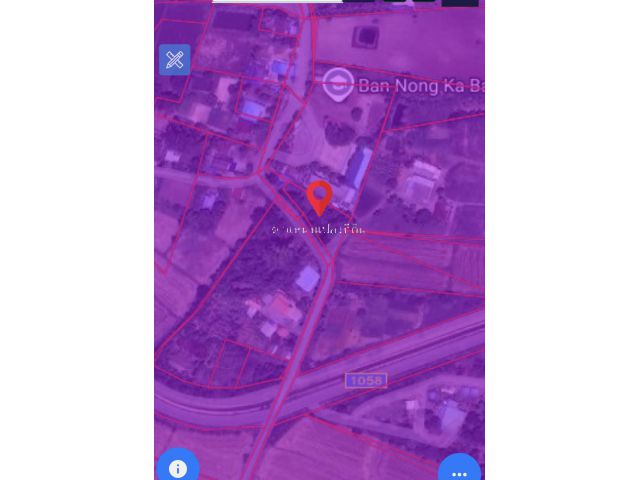 #ขายที่ดิน 360 ตรว. ถมดินเสมอถนน เส้นหน้าโรงเรียนหนองกระเบา มีไฟฟ้า ไฟลอย ประปา ถนนลาดยาง8เมตร เป็นที่ผังม่วง หน้ากว้าง